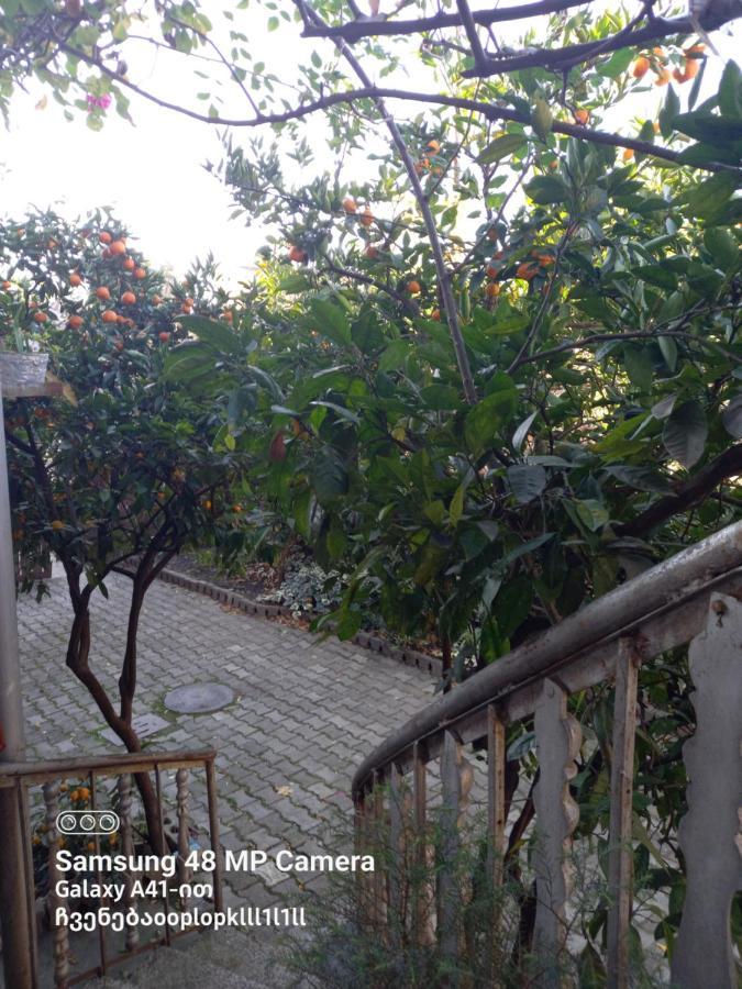 Downtown Guest House Kutaisi Exterior foto