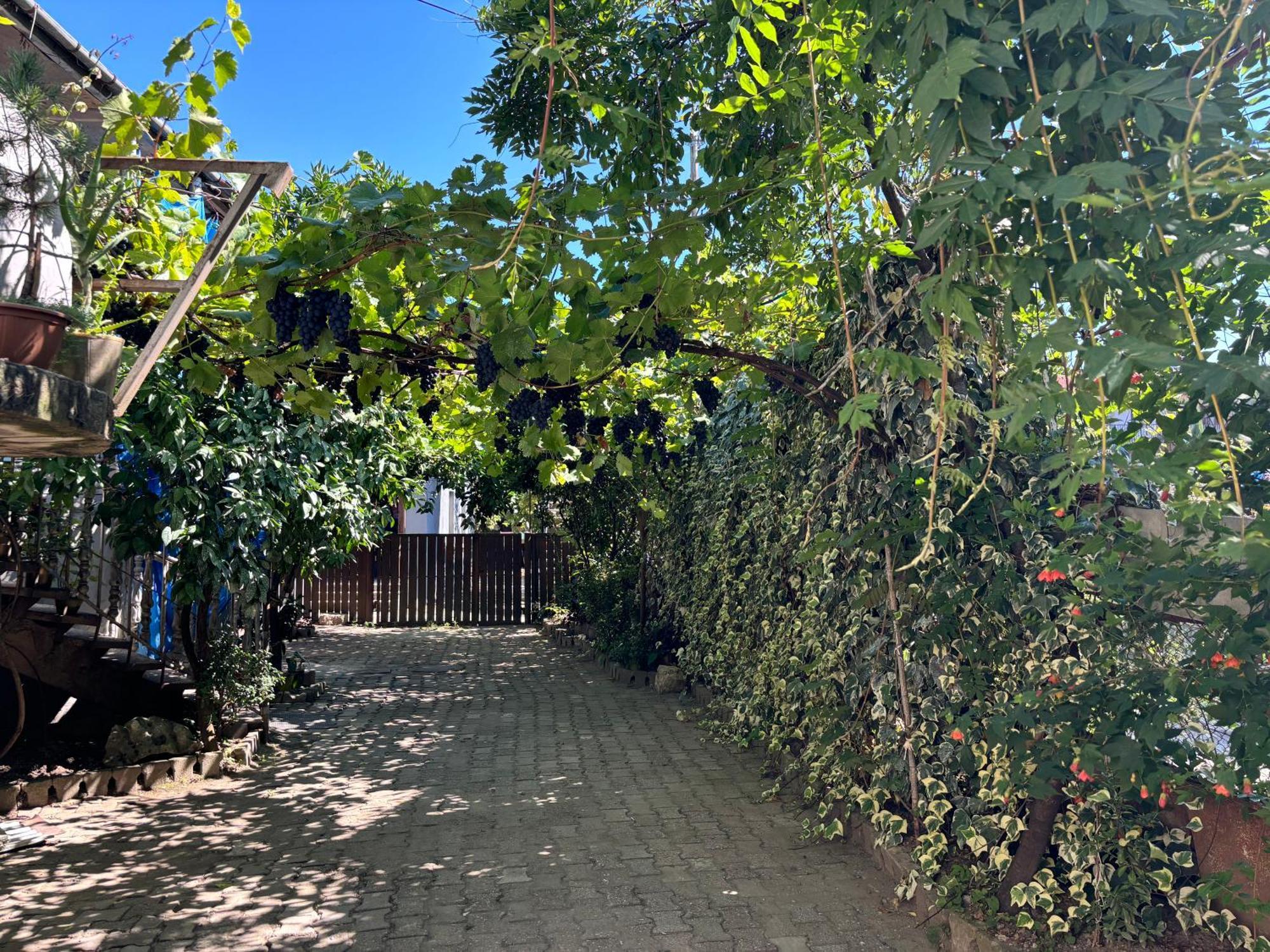Downtown Guest House Kutaisi Exterior foto